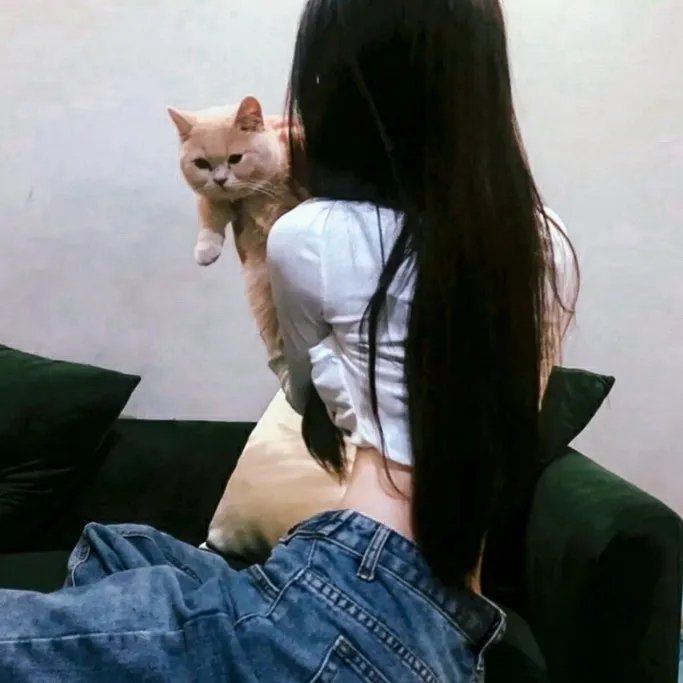 弱鸡地狱训练营